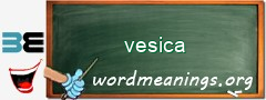 WordMeaning blackboard for vesica